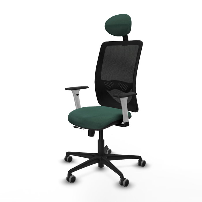 PIQUERAS Y CRESPO Silla de oficina Zulema con mecanismo Sincro/Traslack, Verde botella y Negro PIQUERAS Y CRESPO Silla de oficina Zulema con mecanismo Sincro/Traslack, Verde botella y Negro