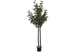 DKD Home Decor Árbol de Eucalipto Verde de 180 cm