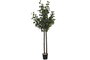 DKD Home Decor Árbol de Eucalipto Verde de 180 cm
