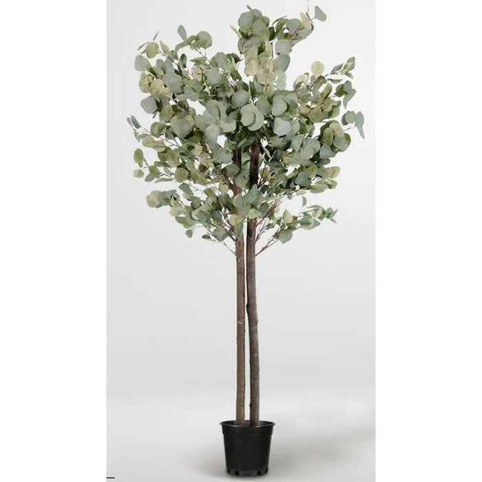 DKD Home Decor Árbol de Eucalipto Verde de 180 cm