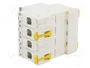 SCHNEIDER ELECTRIC Interruptor de aislamiento Acti 9 de 4 polos, 125A, 415VAC