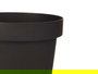 Ibergarden Maceta Plástico Antracita 14 cm Diámetro x 12.5 cm Alto - Ideal para Plantas de Interior y Exterior (Set de 12)