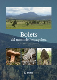 (val).bolets del massis de penyagoloso, AA.VV. - DIPUTACIO DE CASTELLO