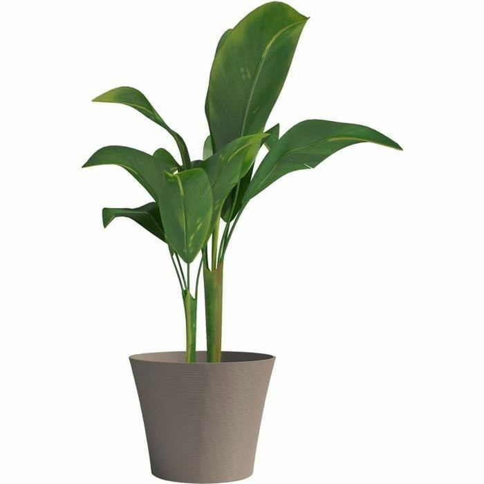 Garden Id Maceta Green Care Sense Taupe 30 x 27 cm Garden Id Maceta Green Care Sense Taupe 30 x 27 cm