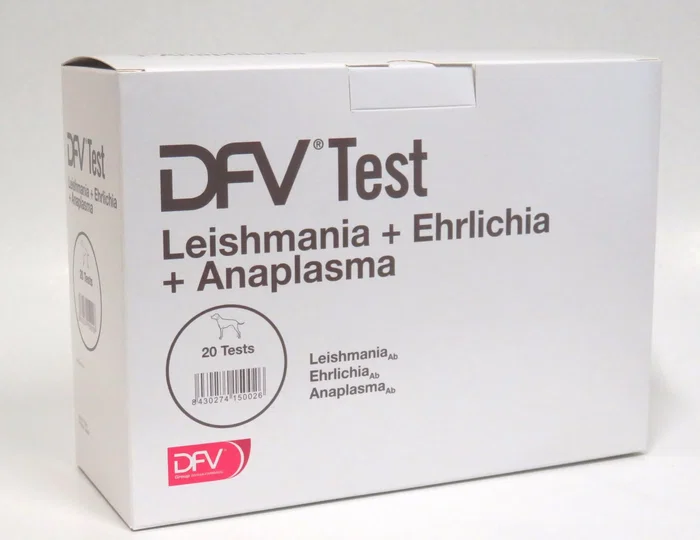 Divasa DFV TEST L+E+A 20 TEST