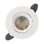 Downlight LED Orientable 7W 700Lm 4000K Philips LED