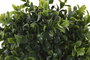 DKD Home Decor Bola de Decoración PE 20x20x20 UV Verde