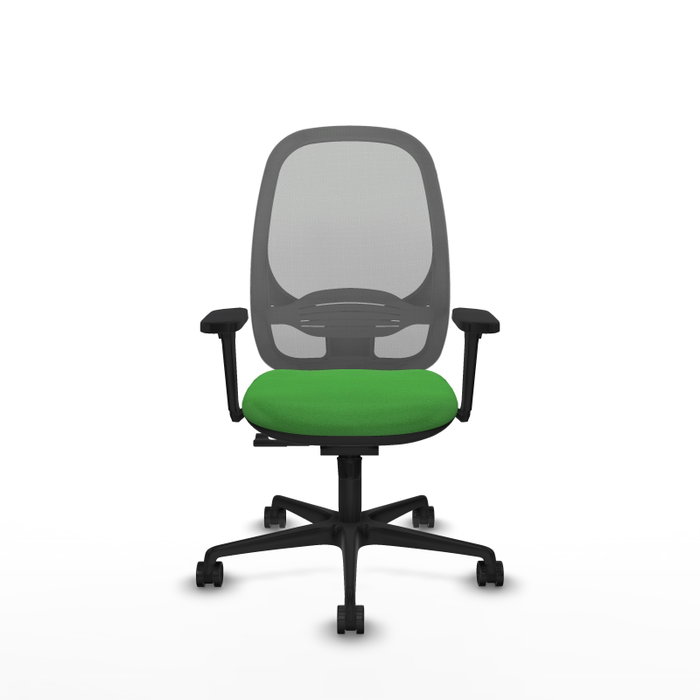PIQUERAS Y CRESPO Silla de oficina Cilanco con mecanismo Sincro, Tela Verde y Malla Gris