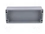 FIBOX EURONORD Carcasa Universal Gris IP66