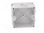 OBO BETTERMANN Caja de conexiones gris claro IP54