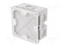 OBO BETTERMANN Caja de conexiones gris claro IP54