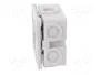 OBO BETTERMANN Caja de conexiones gris claro IP54