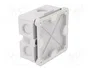 OBO BETTERMANN Caja de conexiones gris claro IP54