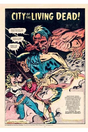 Diabolo Ediciones Zombis (Biblioteca de Cómics de Terror de los Años 50 Volumen 3) Tapas Blandas