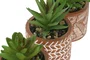 DKD Home Decor Maceta de Cemento y PE 7,5x7,5x16,5 cm Surtida