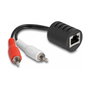 DeLOCK Extensor de audio estéreo RJ45 a 2 x RCA Cat.5 (Set de 2 piezas)