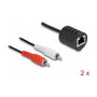 DeLOCK Extensor de audio estéreo RJ45 a 2 x RCA Cat.5 (Set de 2 piezas)