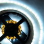 SKY Tira LED SMD 2835 CCT 24VDC 5M 12W/M 1200Lm/M IP20