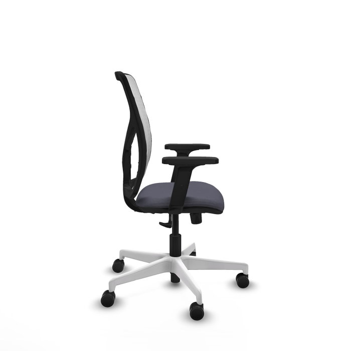 PIQUERAS Y CRESPO Silla de oficina Motilla con mecanismo Sincro, Gris oscuro y Blanco PIQUERAS Y CRESPO Silla de oficina Motilla con mecanismo Sincro, Gris oscuro y Blanco