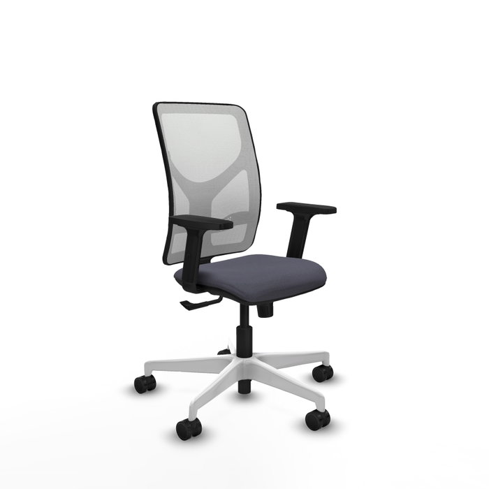 PIQUERAS Y CRESPO Silla de oficina Motilla con mecanismo Sincro, Gris oscuro y Blanco PIQUERAS Y CRESPO Silla de oficina Motilla con mecanismo Sincro, Gris oscuro y Blanco