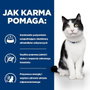Hill's Feline i/d 3kg