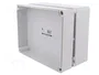 ELEKTRO-PLAST NASIELSK Carcasa Universal Industrial Gris