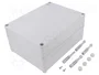 ELEKTRO-PLAST NASIELSK Carcasa Universal Industrial Gris