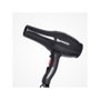Perfect Beauty Secador Pluma Pro Black Profesional DC 2000W