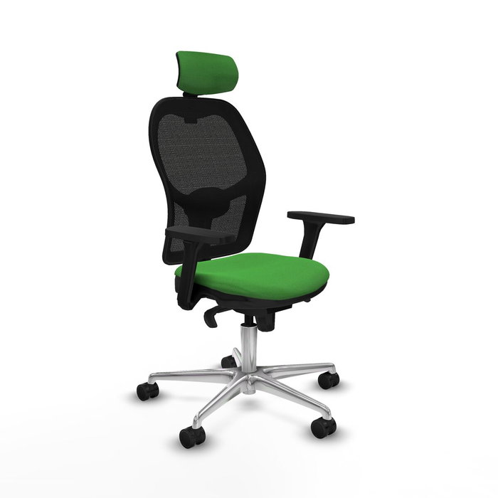 PIQUERAS Y CRESPO Silla de oficina Jorquera con mecanismo Sincro, Verde y Negro PIQUERAS Y CRESPO Silla de oficina Jorquera con mecanismo Sincro, Verde y Negro