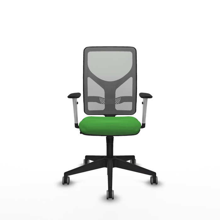 PIQUERAS Y CRESPO Silla de oficina Motilla con mecanismo Sincro, Verde y Gris PIQUERAS Y CRESPO Silla de oficina Motilla con mecanismo Sincro, Verde y Gris