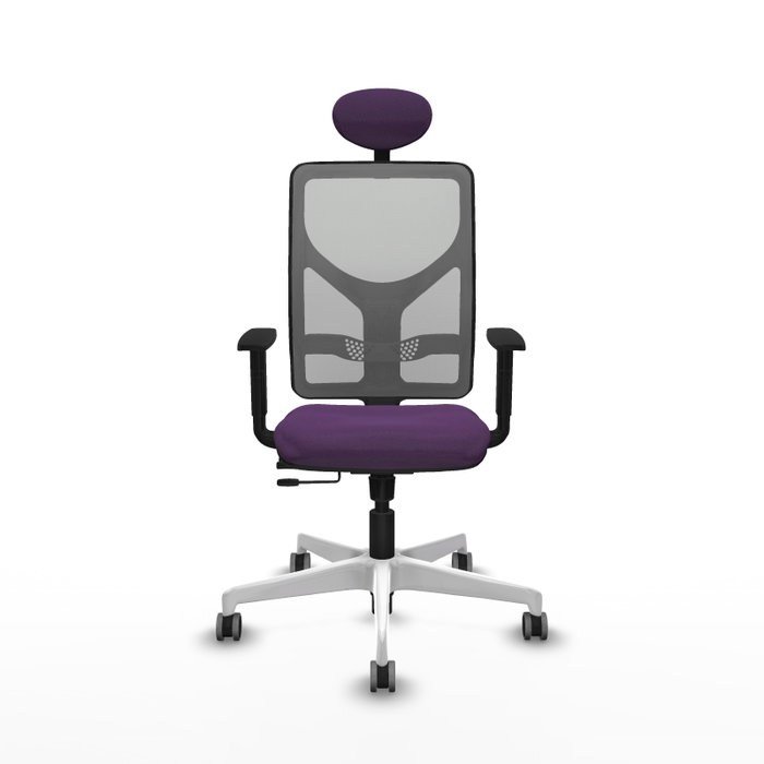 PIQUERAS Y CRESPO Silla de oficina Motilla con mecanismo Sincro/Traslack, Morado y Gris PIQUERAS Y CRESPO Silla de oficina Motilla con mecanismo Sincro/Traslack, Morado y Gris