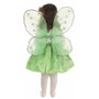 Creaciones Llopis Disfraz Infantil Mariposa Verde Set 3-6 Años