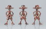 Tamashii Nations One Piece Blind Box Archive of Adventure [Vol.3]