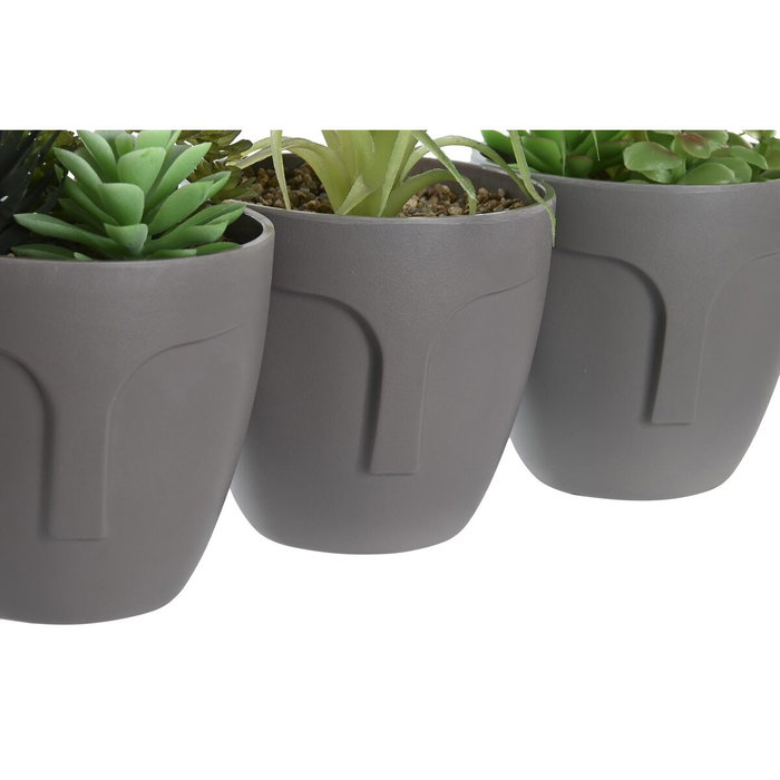 DKD Home Decor Surtido de 3 Plantas Decorativas Gris y Verde DKD Home Decor Surtido de 3 Plantas Decorativas Gris y Verde