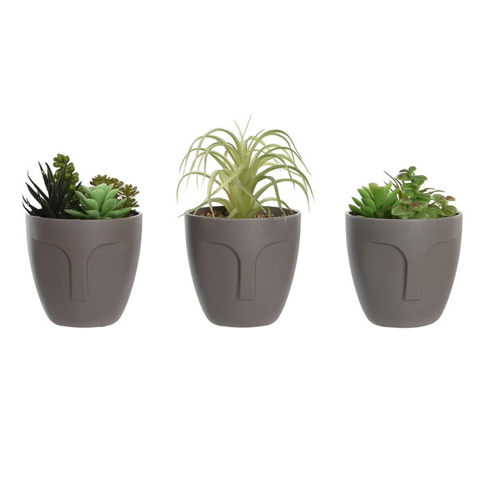 DKD Home Decor Surtido de 3 Plantas Decorativas Gris y Verde DKD Home Decor Surtido de 3 Plantas Decorativas Gris y Verde