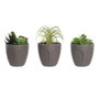 DKD Home Decor Surtido de 3 Plantas Decorativas Gris y Verde