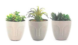 DKD Home Decor Surtido de 3 Plantas Decorativas Gris y Verde