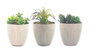 DKD Home Decor Surtido de 3 Plantas Decorativas Gris y Verde