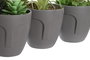 DKD Home Decor Planta Gris Verde 11 x 15 x 11 cm (3 Unidades)