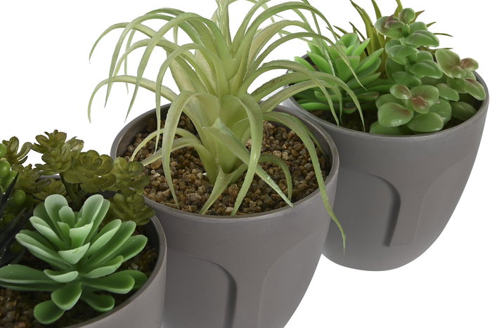 DKD Home Decor Planta Gris Verde 11 x 15 x 11 cm (3 Unidades)