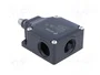 PIZZATO ELETTRICA FL 518 Interruptor de fin de carrera NO+NC 10A