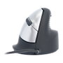 R-Go R-Go Maus HE ratón ergonómico diestro USB grande negro/plata retail