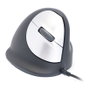 R-Go R-Go Maus HE ratón ergonómico diestro USB grande negro/plata retail