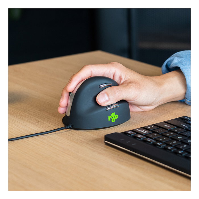 R-Go R-Go Maus HE ratón ergonómico diestro USB grande negro/plata retail