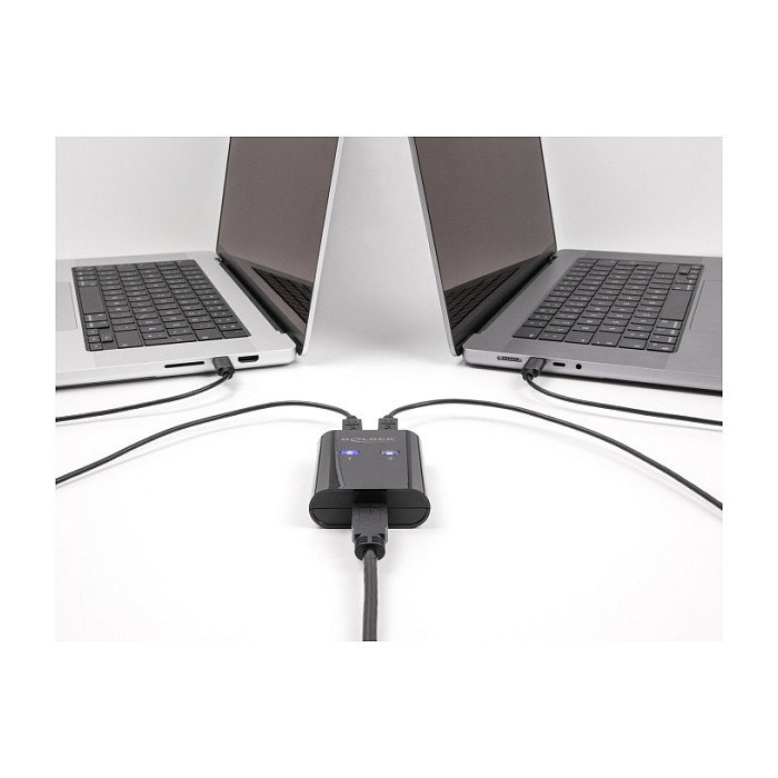 DeLOCK 11508 Interruptor USB 3.2 Gen 1 5 Gbps Switch para 2 PC compartir 1 dispositivo, negro, plástico, 5 Gbit/s