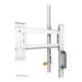 Newstar Neomounts FL50-525WH1 Blanco