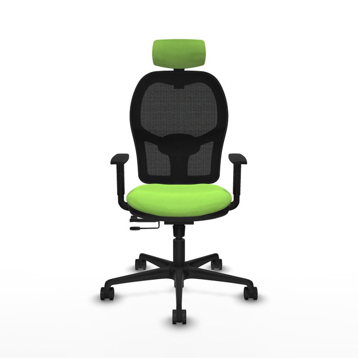 PIQUERAS Y CRESPO Silla de oficina Jorquera con mecanismo Sincro/Traslack, color Pistacho y Negro PIQUERAS Y CRESPO Silla de oficina Jorquera con mecanismo Sincro/Traslack, color Pistacho y Negro