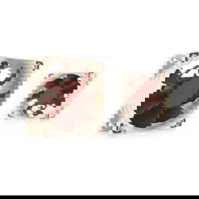 Noctua NF-A6x25 FLX Ventilador 6cm 1600-3000 RPM Flujo de Aire 29.2 m3/h 19.3 dB Marrón