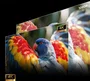 Hisense C3 Laser 4K UHD DLP Proyector Plata