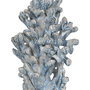 Figura Coral Azul Cerámica Decoración 16,50 X 16,50 X 32 cm